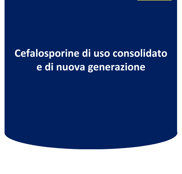 Cefalosporine di uso consolidato e di nuova generazione