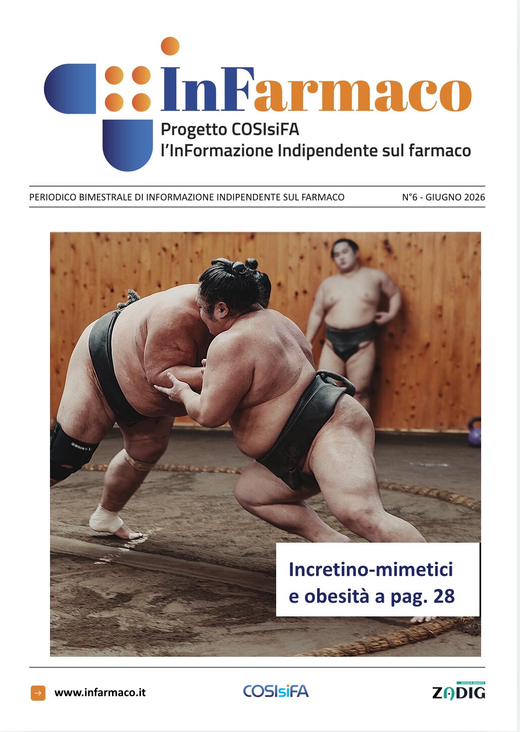 N° 6 Giugno 2026